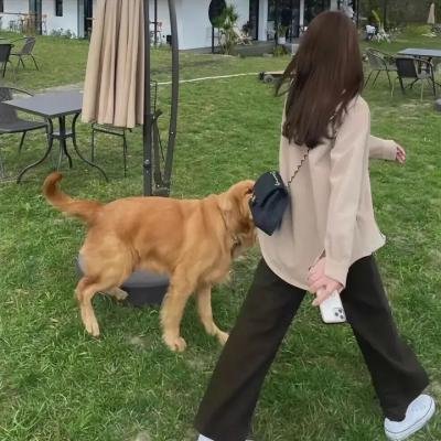 命定伴侣